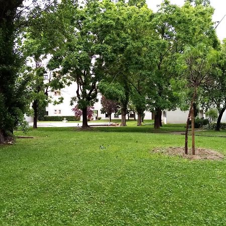 Chambre Double Greg En Colocation Montpellier Dış mekan fotoğraf